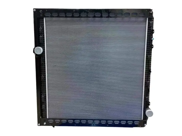 Radiador Radiador Shacman X5000